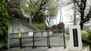 2010041314030000.jpg