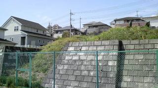 2011041612190000.jpg