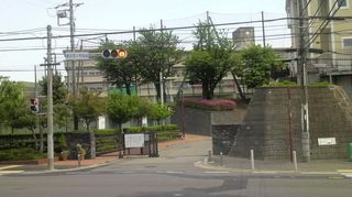 2011050812560000.jpg