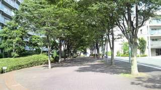 2011070315010001.jpg