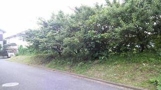 2011082614180001.jpg